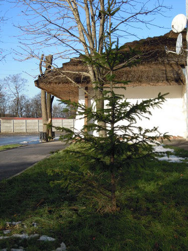 DSCN0872.JPG