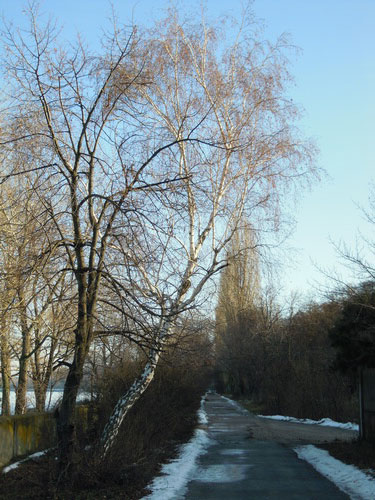 DSCN0886.JPG