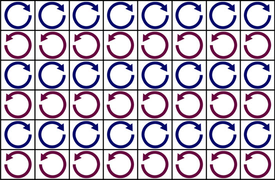 polar-1.jpg