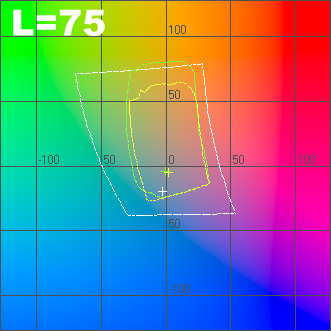 l_75.jpg