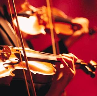 violin