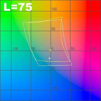l_75.jpg