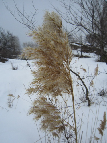 IMG_0057.JPG