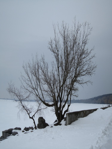 IMG_0071.JPG