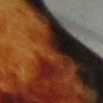 iso800_1.jpg