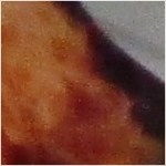 iso1600_1.jpg