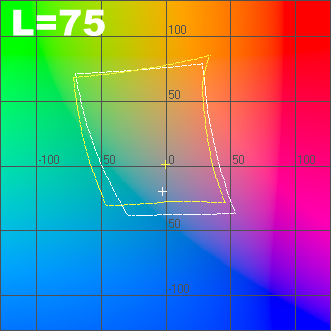 l_75.jpg
