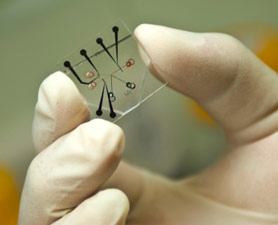 MIT: кремниевые чипы в качестве системы для очистки воды