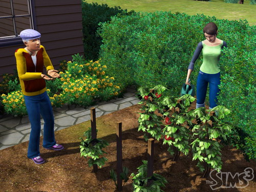 The Sims 3