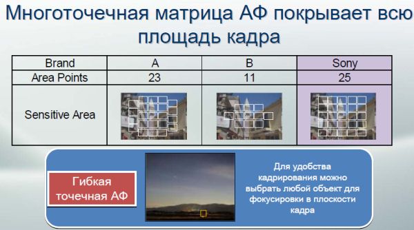 sp021.jpg