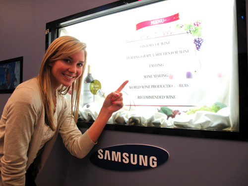 Прозрачная LCD-панель Samsung Electronics_3
