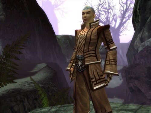 Guild Wars: Factions