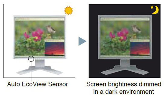 Eizo FlexScan S1902