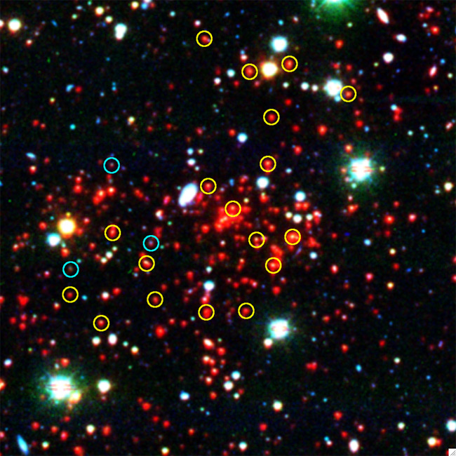 Галактическое скопление SPT-CL J0546-5345