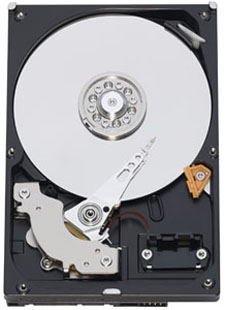 Western-Digital-Caviar-Blue-SATA-6.0-Gbps-Hard-Drive-1.jpg