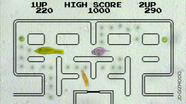 Pac-Man