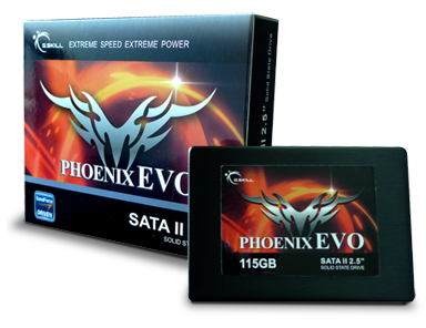 G.Skill 115GB Phoenix EVO SSD