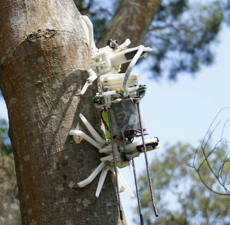 ����� Treebot
