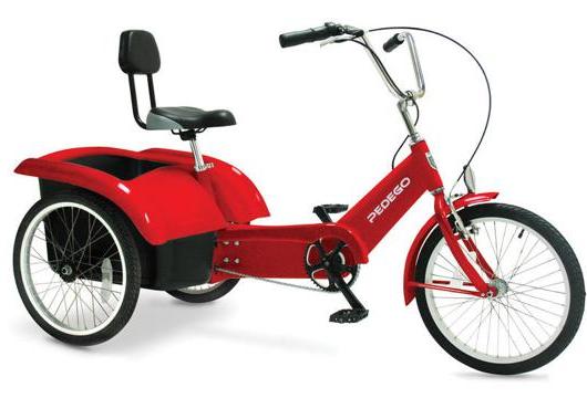 Beachcombing Electric Tricycle
