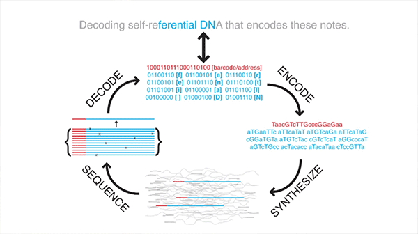 dna_coding.png