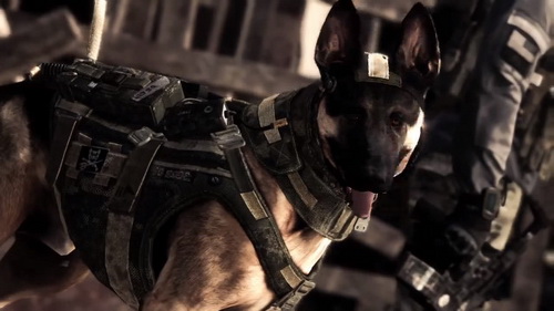 http://www.3dnews.ru/_imgdata/img/2013/06/05/646280/call-of-duty-ghosts-pre-e3.jpg
