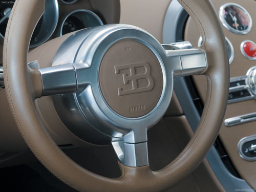 Bugatti Veyron Hermes 6