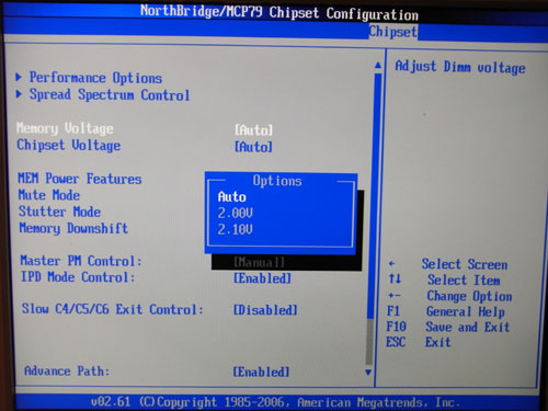 Manli ION-ITX-WiFi Vmem