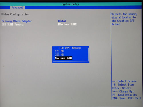 Intel DH55TC GPU Memory