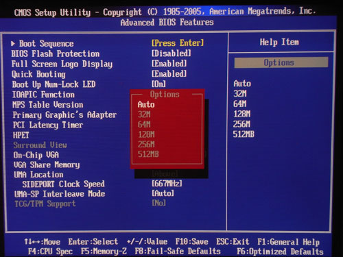 MSI 890GXM-G65 GPU MemSize
