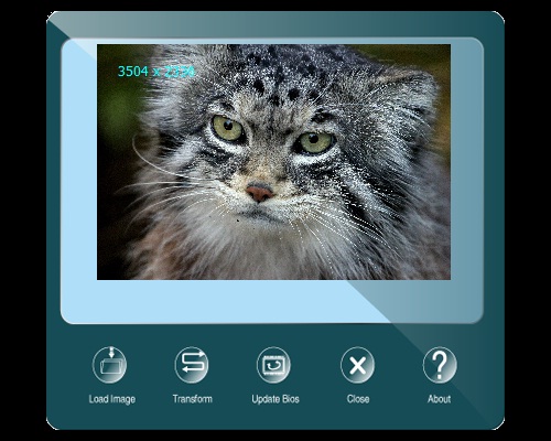 Biostar TZ77XE4 BIOScreen