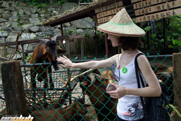 Карина Тихонова