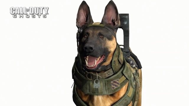 http://www.3dnews.ru/assets/external/illustrations/2013/07/31/656612/1369292997_call-of-duty-ghosts.jpg