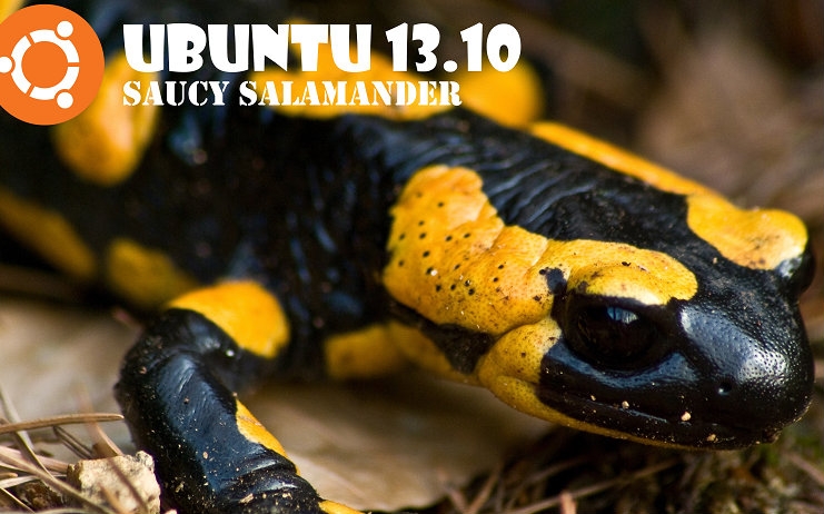 ubuntu%2013_10-%20Saucy%20Salamander.jpg