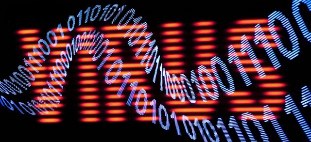 Ralf Hiemisch/fstop/Corbis