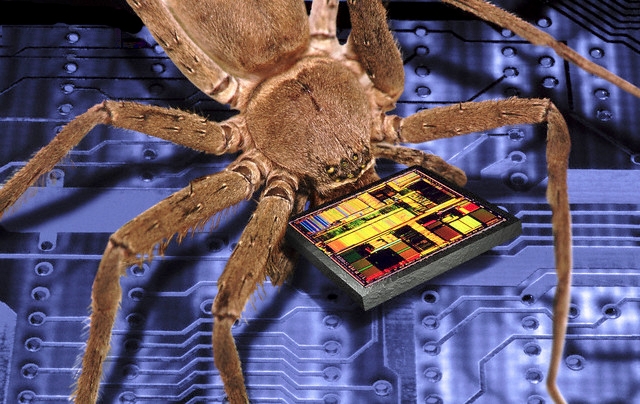 Firefly Productions/Corbis