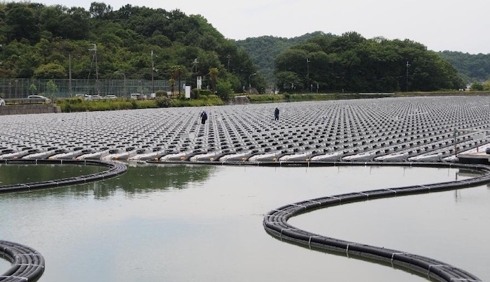 Kyocera создала самую большую электростанцию на воде