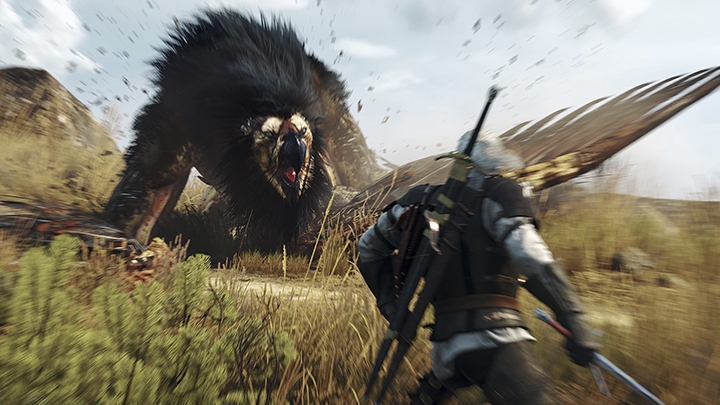 The Witcher 3: Wild Hunt