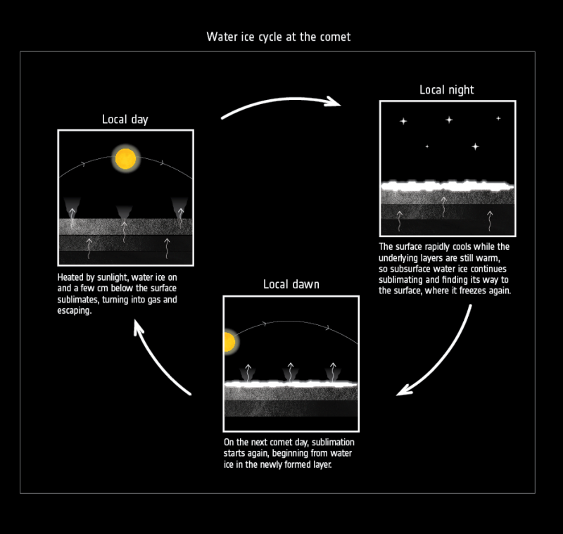  «Местным днём» водяной лёд под поверхностью ядра кометы испаряется и уходит в космос, «местной ночью» на поверхность выпадает пыль, «на рассвете» (или «на закате») процесс повторяется, но большая часть воды не проходит через корку из слипшейся пыли 