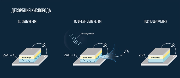Физики из МФТИ улучшили камеры смартфонов при помощи ультрафиолета