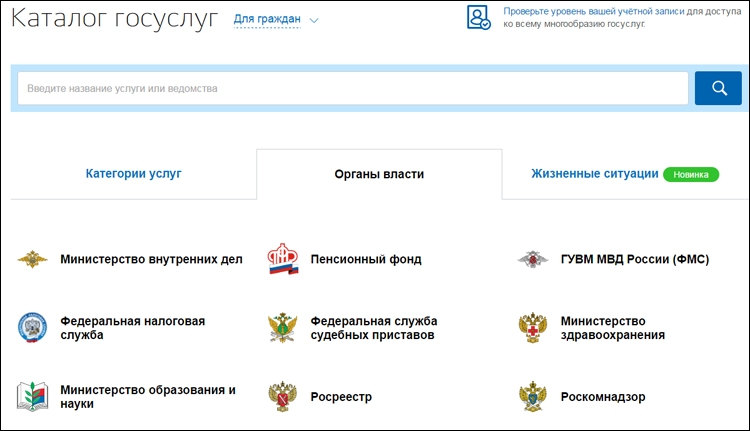 Об электронных госуслугах осведомлены более половины пользователей Рунета