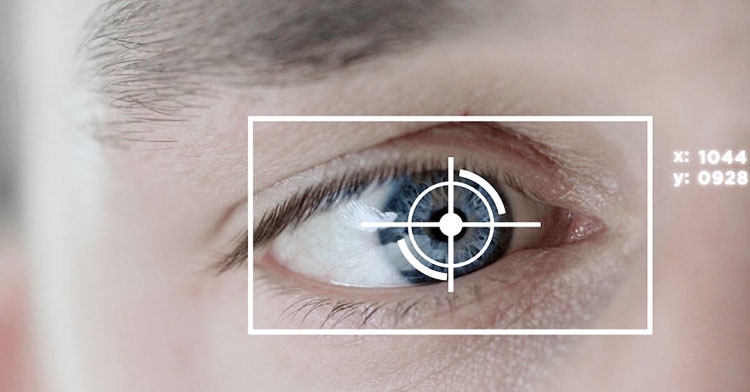 Oculus купила компанию The Eye Tribe ради технологии отслеживания взгляда"