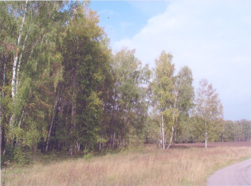 печать