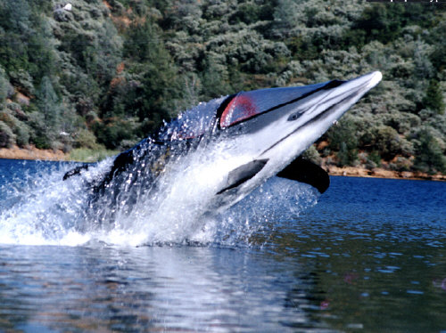 Бионический Дельфин (Bionic Dolphin)
