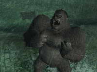 Peter Jackson's King Kong