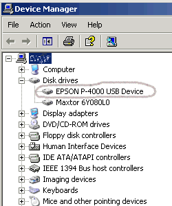 Epson P-4000 Multimedia Storage Viewer