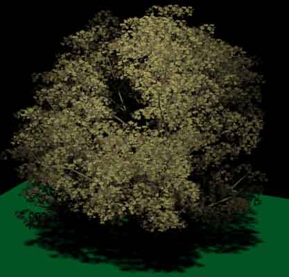 Speedtree, Набор Для Создания Деревьев В 3Ds Max Бесплатно
