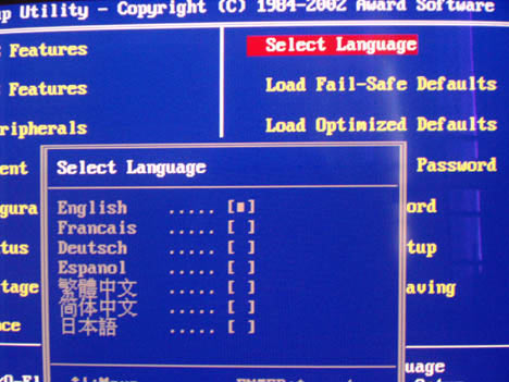 bios languages
