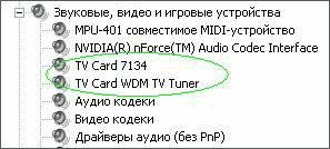 TV Link Pro FM