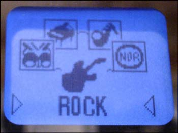 RoverMedia ARIA DP-100 FM