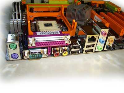 The board's rear panel
